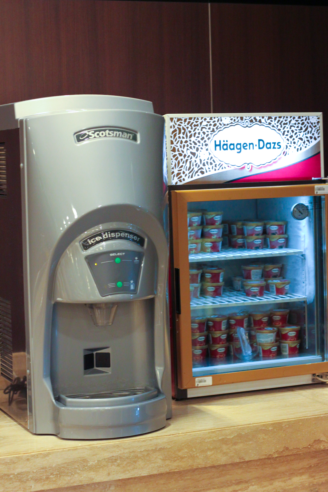 Day 1 – Unlimited Haagen-Dazs ice cream